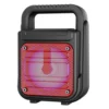 GTS-1362 Portable Wireless Speaker