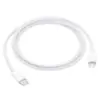 Apple Iphone 14 Type C to Lightning Cable - Image 3