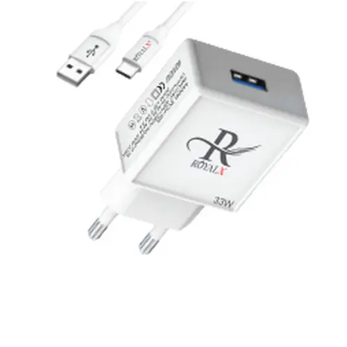 RoyalX RCH-65 33W Type-C And Lightning Charger - Image 2