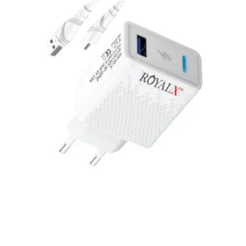 RoyalX RCH-75 33W Type-C And Lightning Charger - Image 2